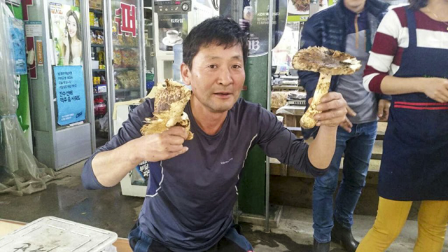 월악산 덕주골산장